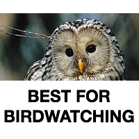 Best For Birdwatching