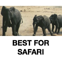 Best Binoculars For Safari